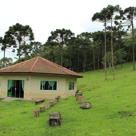 Sitio Arapongas Villa Campo Alegre  Exterior foto