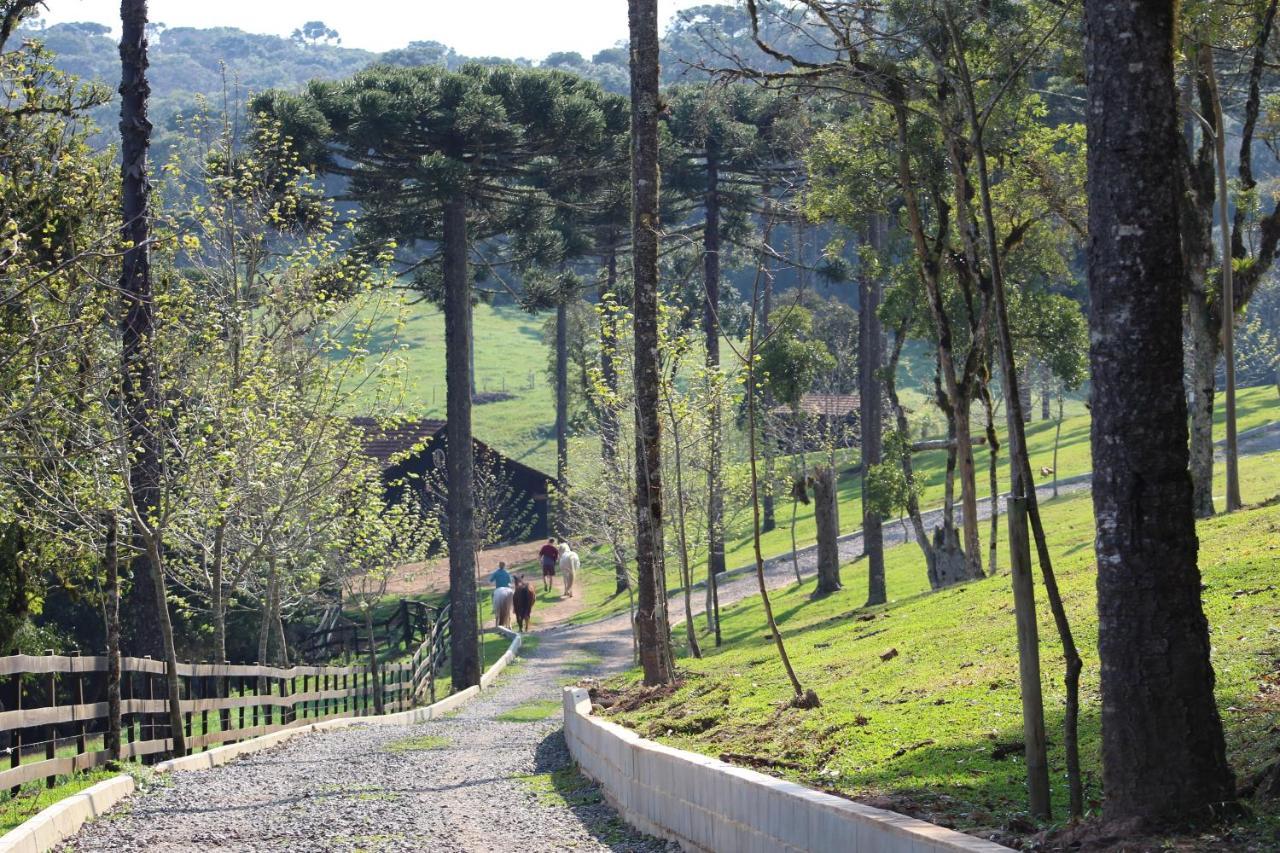 Sitio Arapongas Villa Campo Alegre  Exterior foto